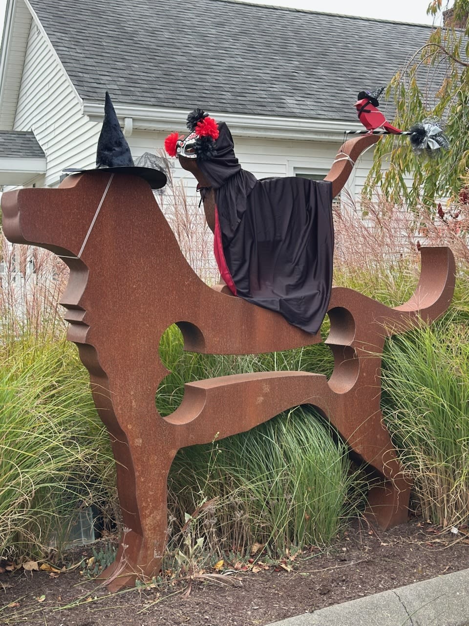 Happy Halloween, Spinnaker Veterinary Clinic